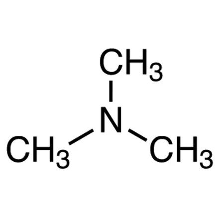 트리메틸아민(trimethylamine)