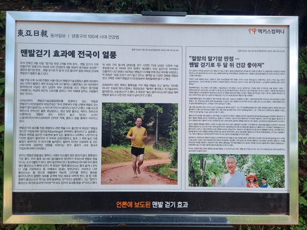언론보도-맨발걷기-효과