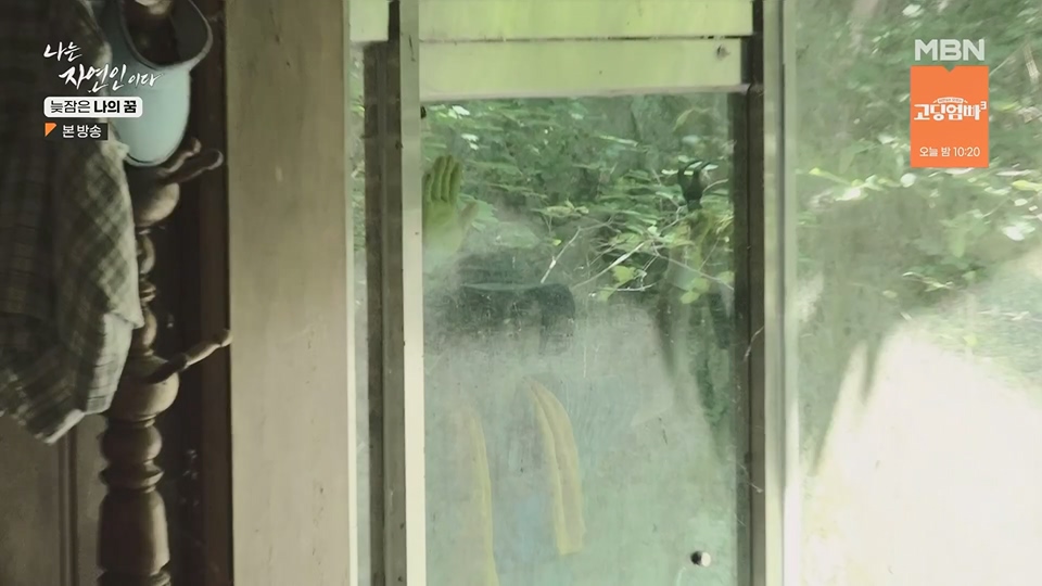 나는 자연인이다.E561.230705p.H264-F1RST.mp4_20230706_213031.331.jpg