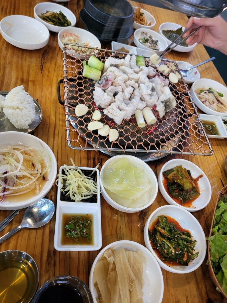 바다장어 이미지