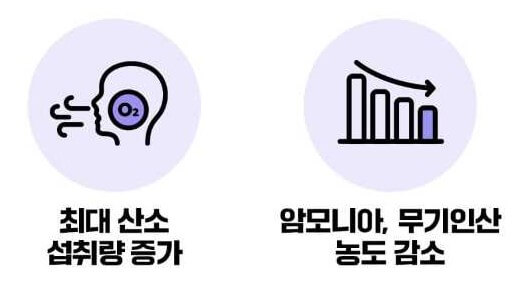 옥타코사놀 인제적용시험 결과