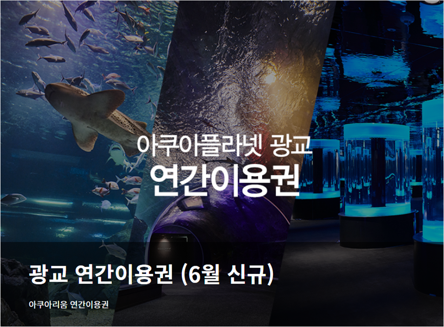 광교-아쿠아플라넷-연간회원권