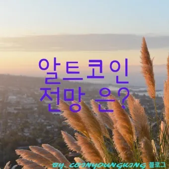 nv_알트코인 전망 추천_17