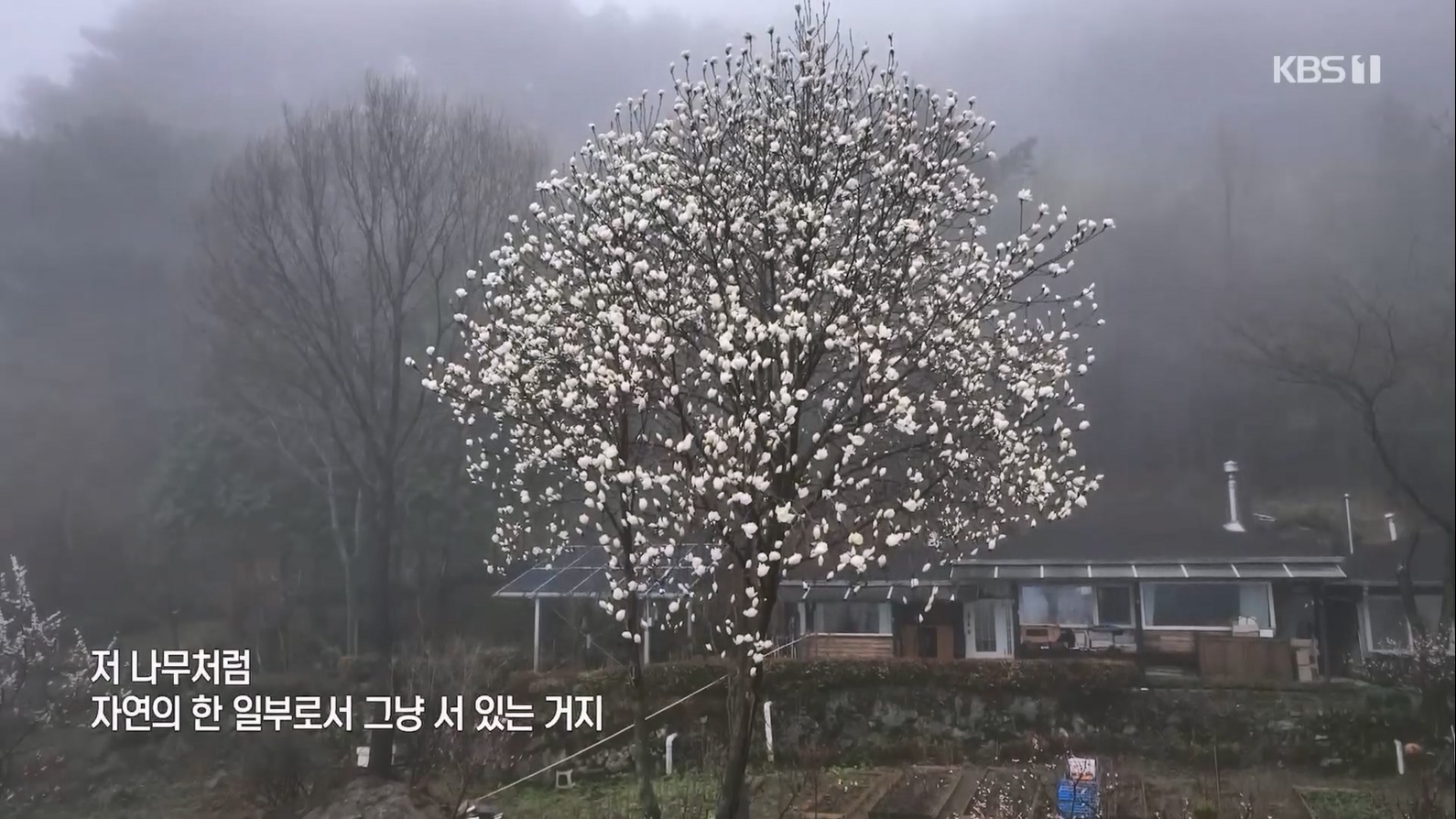 다큐 인사이트.E153.230608p.H264-F1RST.mp4_20230612_202228.316.jpg