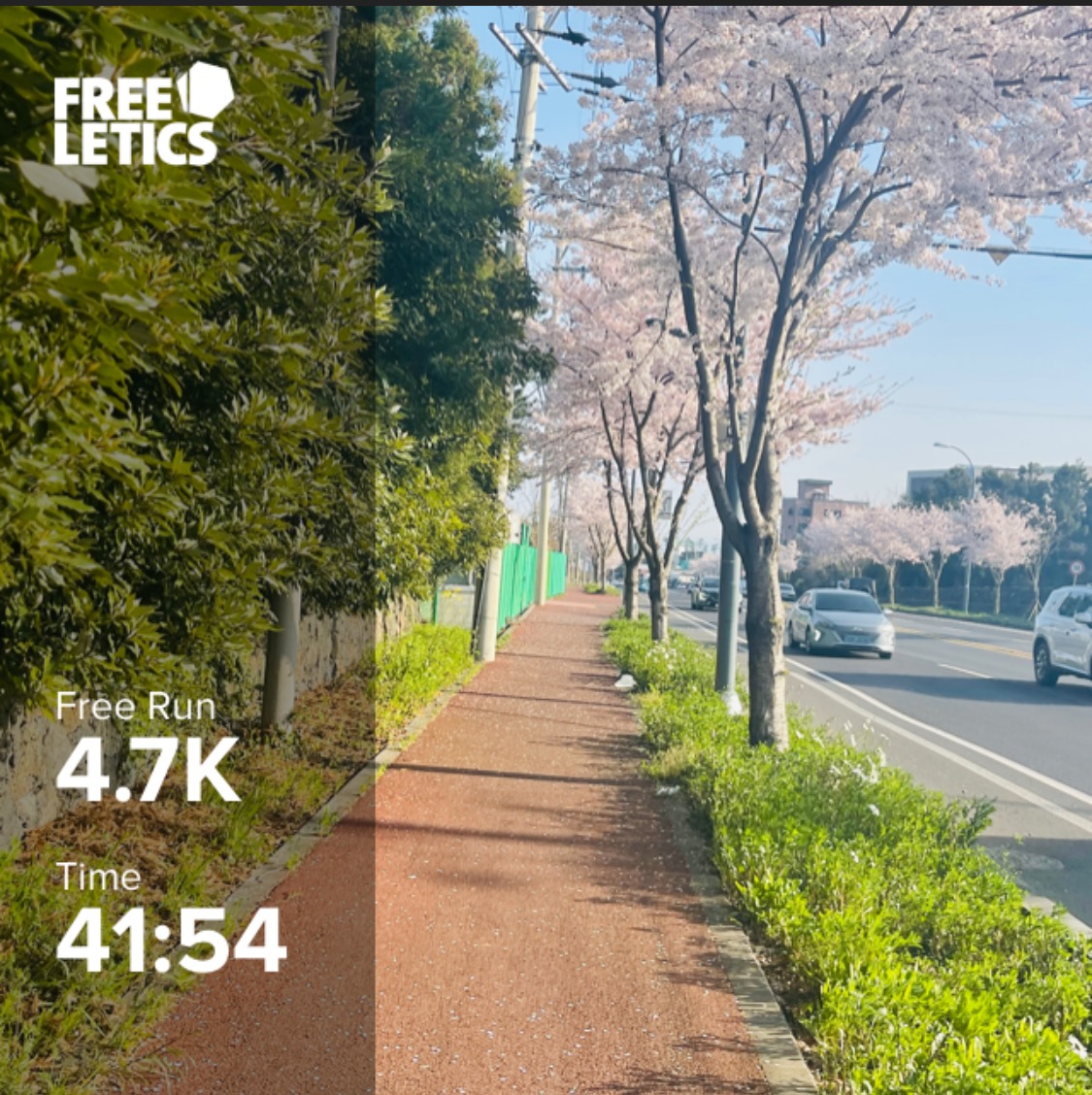 Free Run 3일차