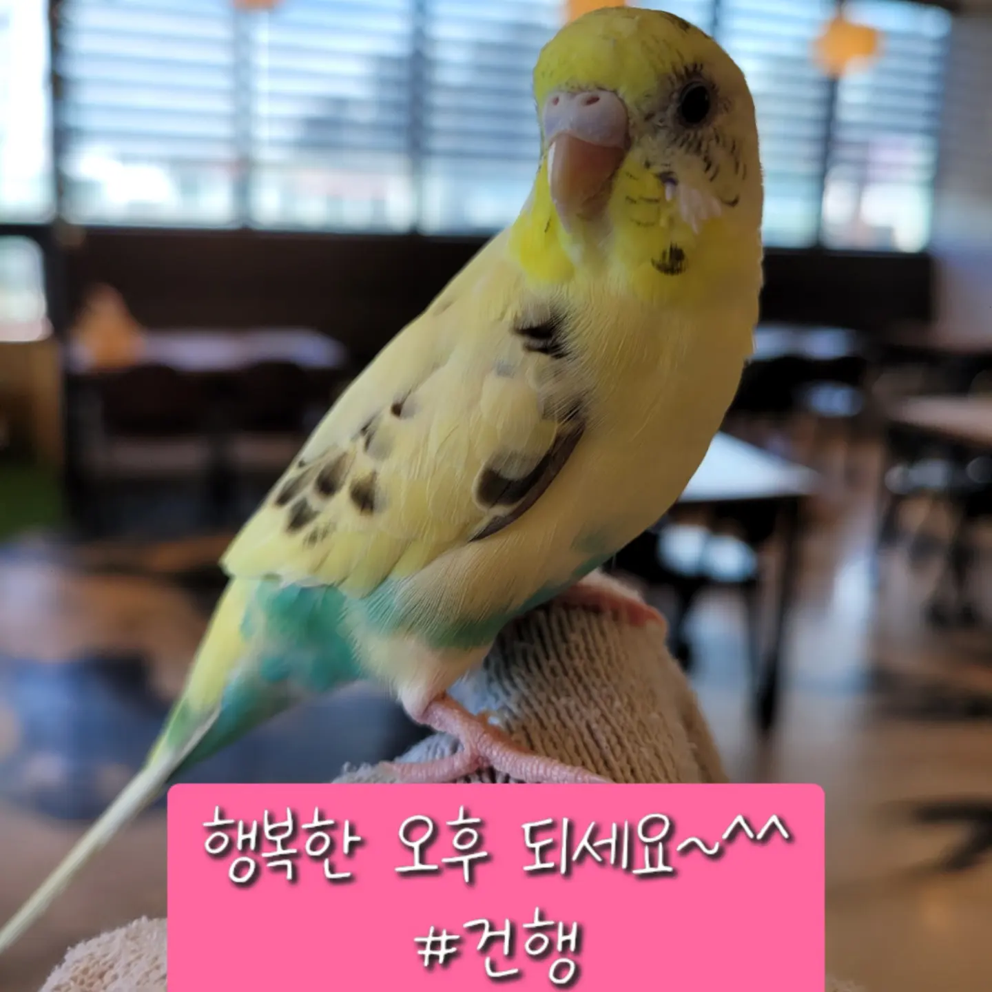 카페 사랑 이미지