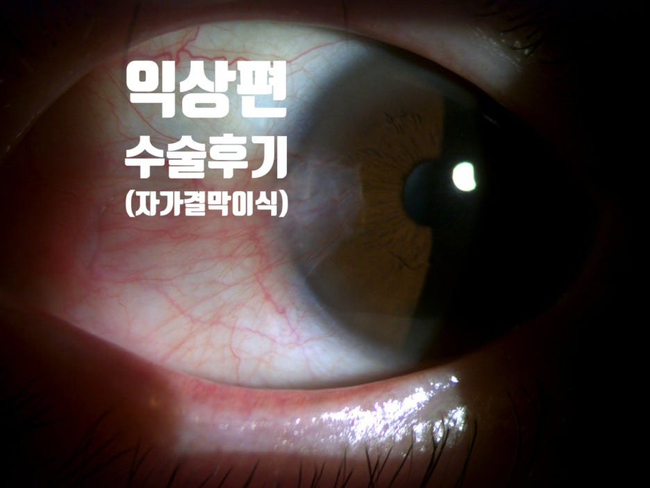 대전성모안과 이미지