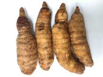 천마 이미지