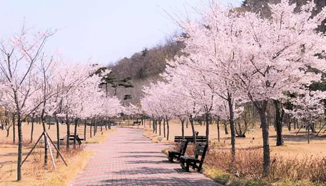 포항송라요양병원