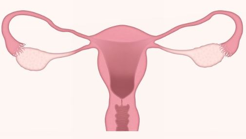 HPV 바이러스 증상