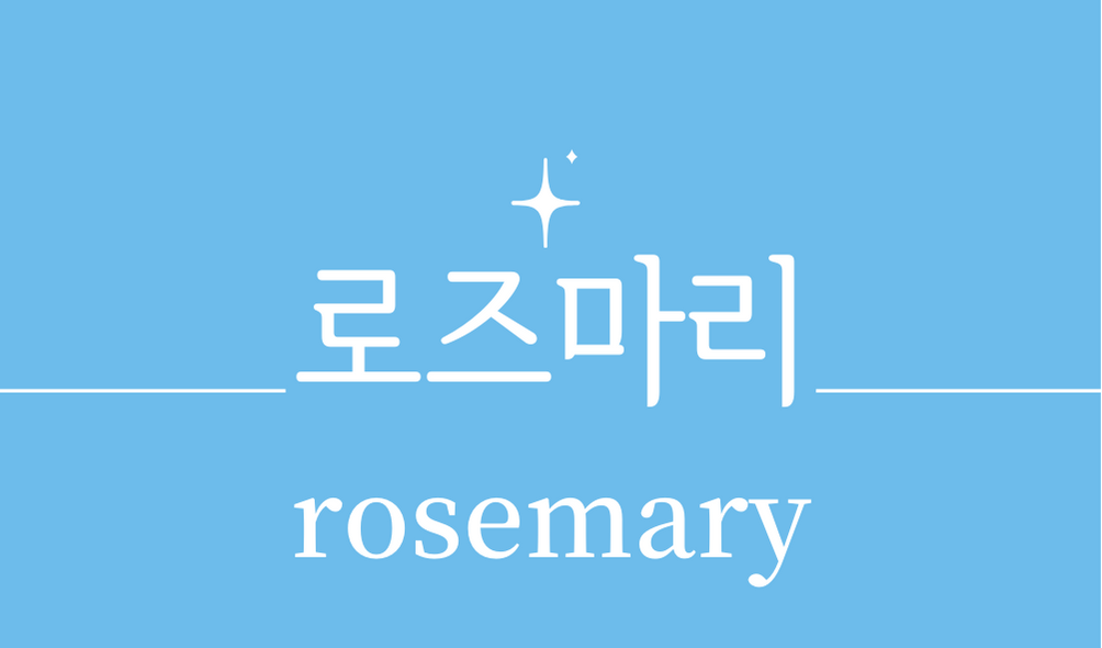 &#39;로즈마리(rosemary)&#39;