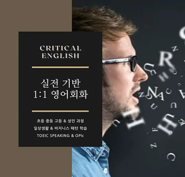 크리티컬 영어회화