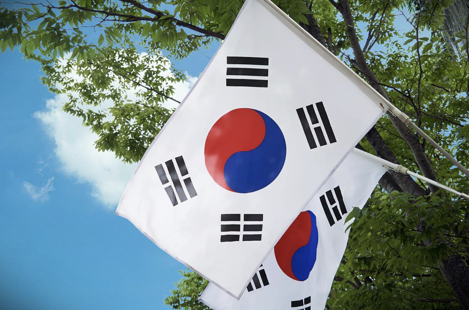  한국 국적은 어떻게 취득할까? 귀화의 종류 알아보기