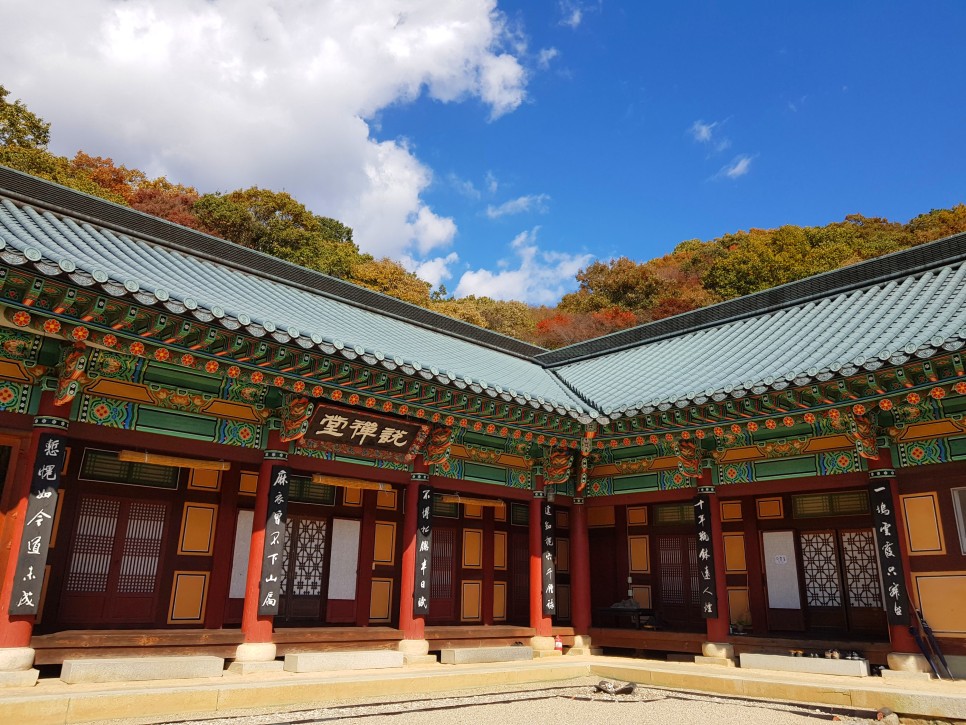 장소! 칠불사의 가을 풍경을 감상하세요:) 하동칠불사의 가을 멋진 자태를 품은 23