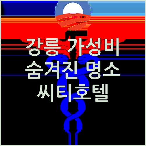 강릉씨티호텔 숨겨진 매력 파헤치기! 