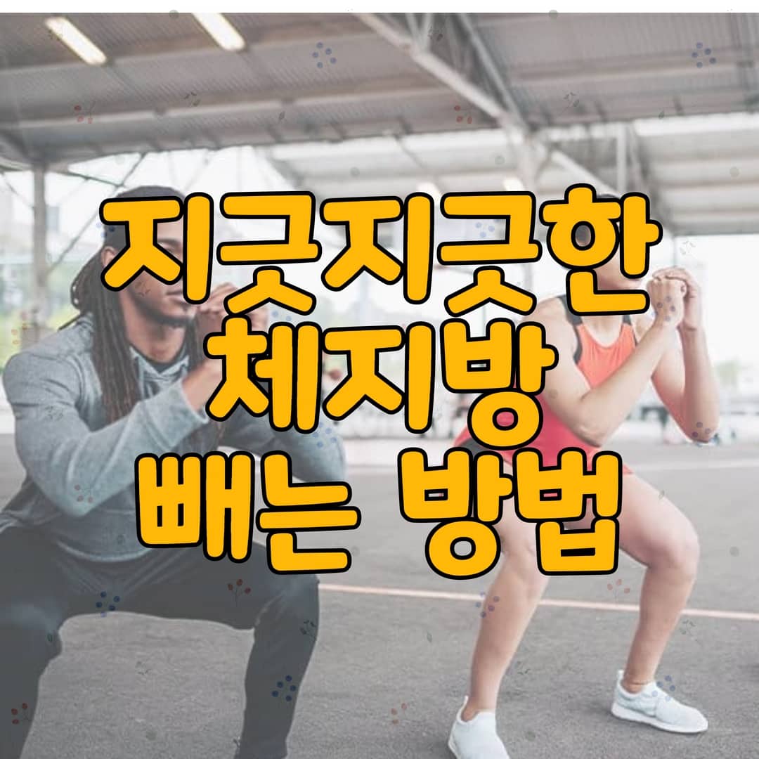  체지방 빼는 법 (2023년 Version)