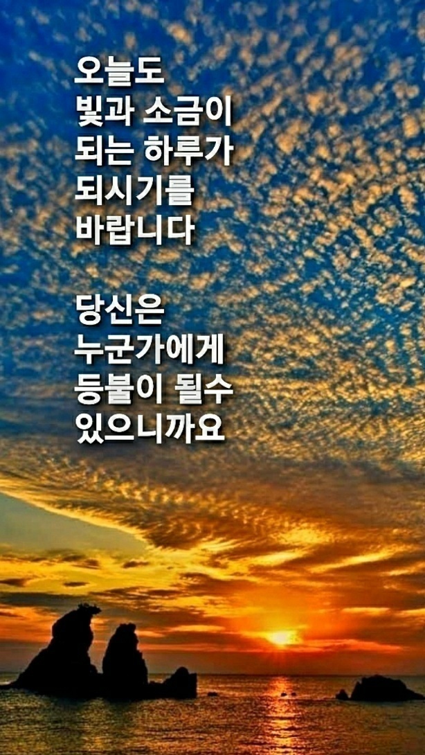 오늘의 좋은글 206번째 기회가 없을 뿐이라고 한탄 하는 사람이 되지 말고 기회를 잡는 사람이 되어야 합니다