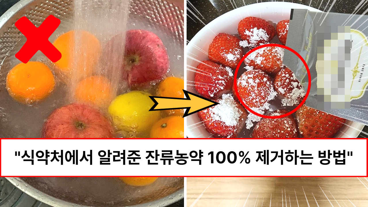 “90% 사람들이 잘못 씻고 있습니다” 식약처에서 알려준 농약 걱정없이 채소와 과일 씻어서 껍질채 먹는 방법