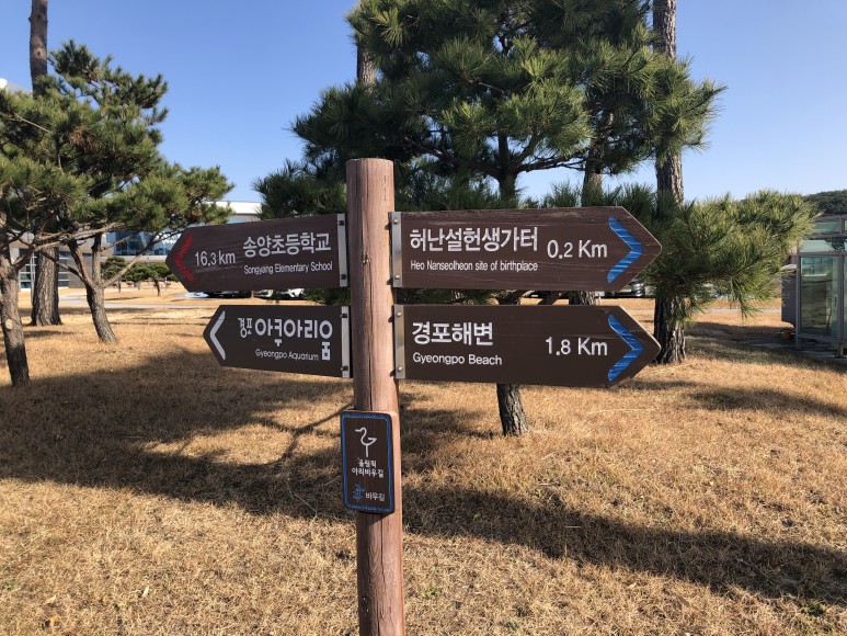 단위로 가기 좋은 강릉여행 경포 아쿠아리움 | 가족 12