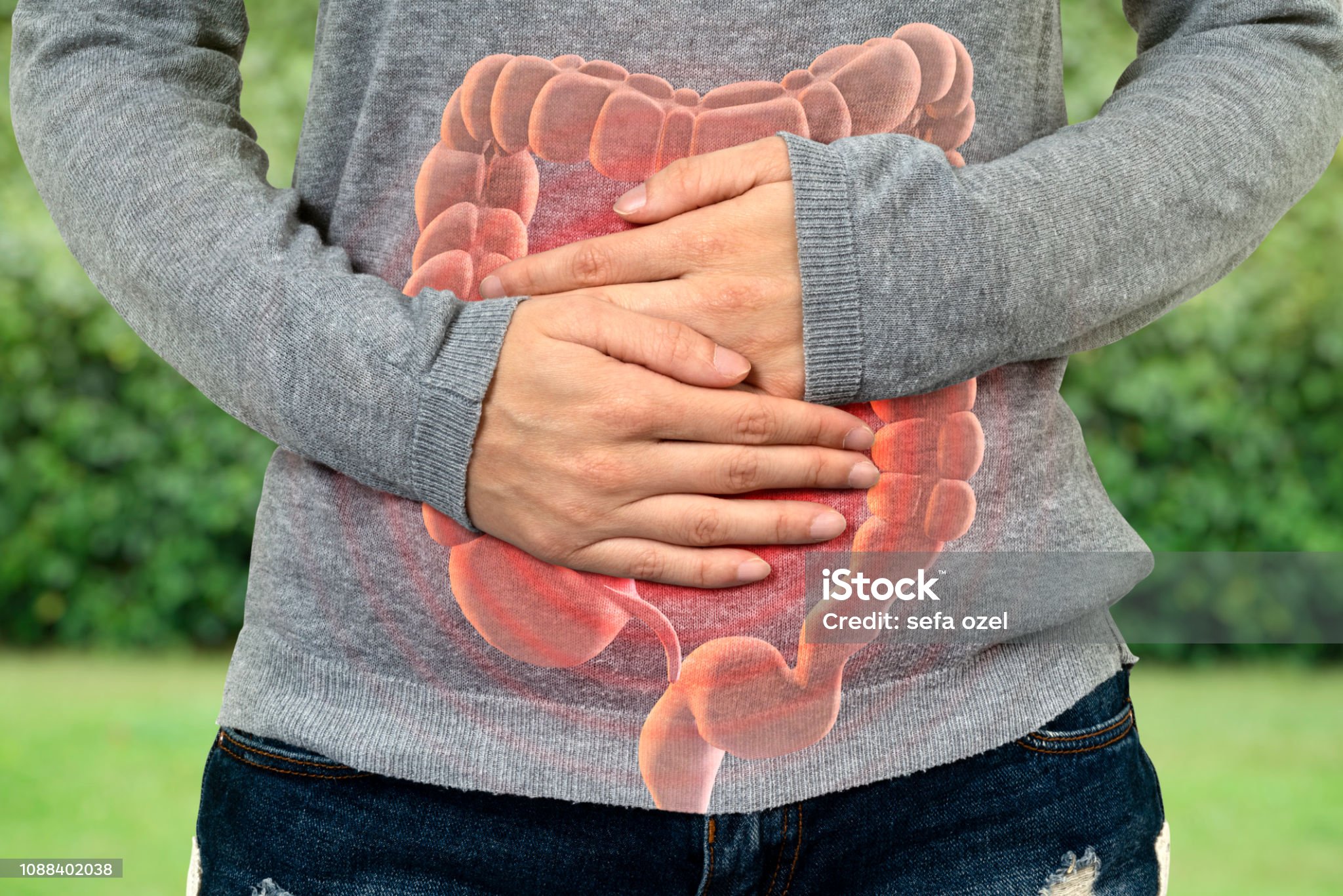  대장균 (E.coli) 종류 감염경로 징후 감염예방