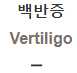  백반증 [Vertiligo]