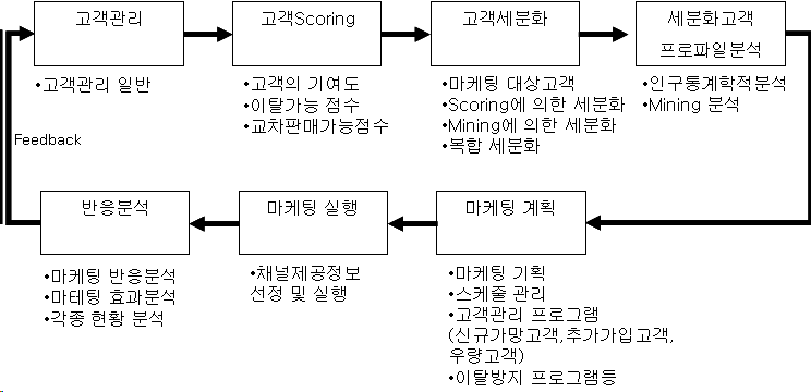 CRM을 구축 실행하는 프로세스를 설명한 그림