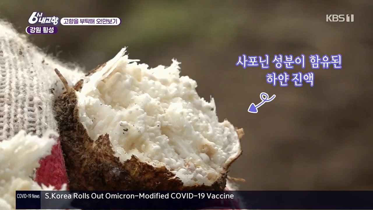 6시 내고향.E7640.221019p.H264-F1RST.mp4_20221020_170059.912.jpg