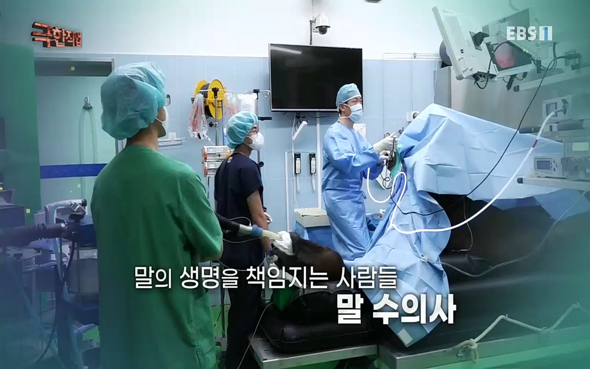 TV - 교육의 중심 EBS동물들을 지켜라, 수의사와 유기 동물 구조팀.mp4_20220913_194203.521.jpg