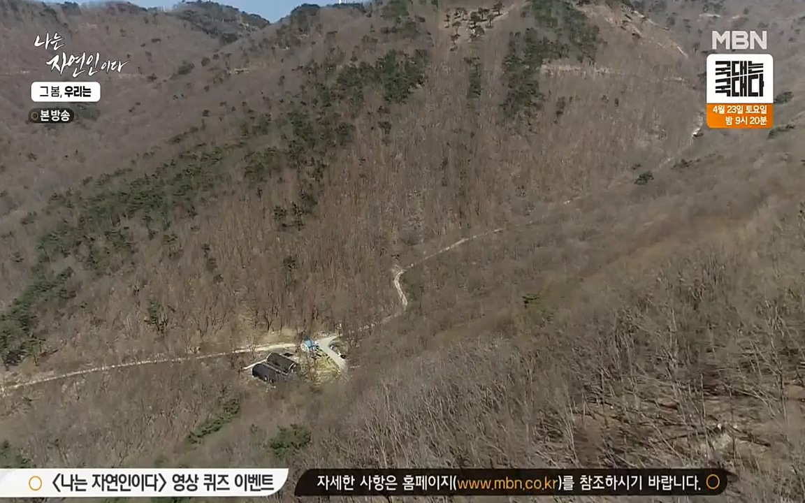 나는 자연인이다.E498.220421p-NEXT.mp4_20220421_184051.851.jpg