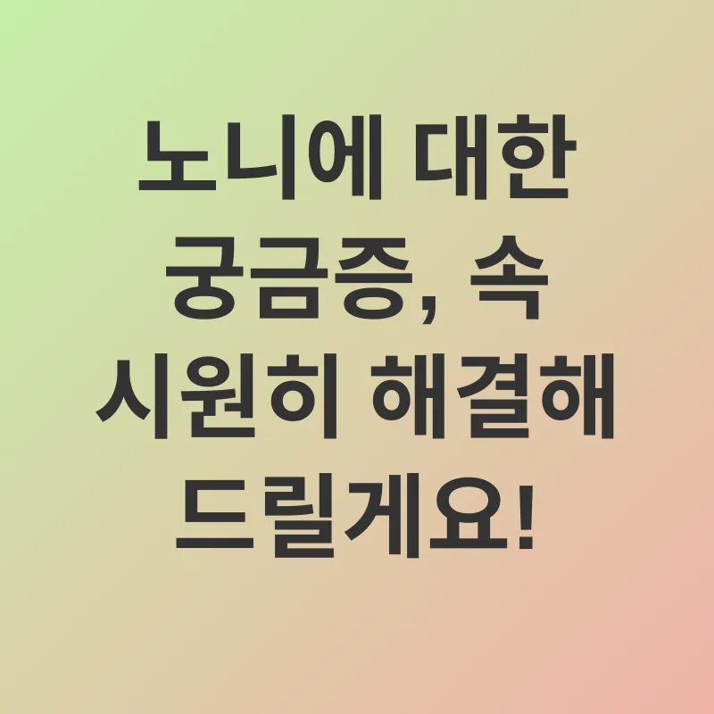 노니 효능_4