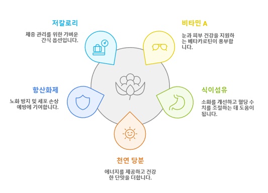 곶감 효능