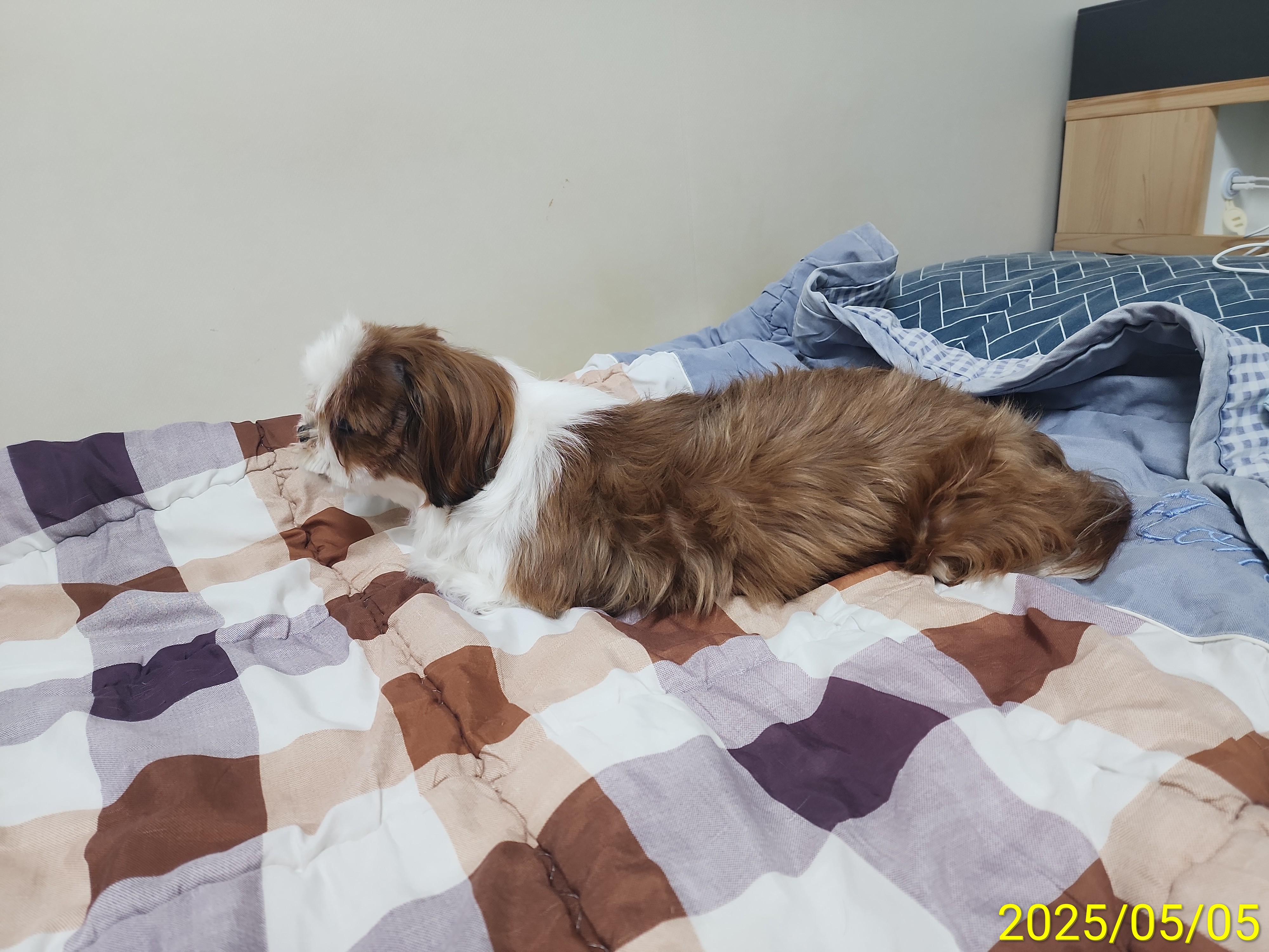 후추집 이미지