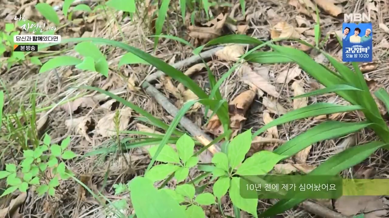 나는 자연인이다.E556.230532p-NEXT.mp4_20230601_201502.875.jpg