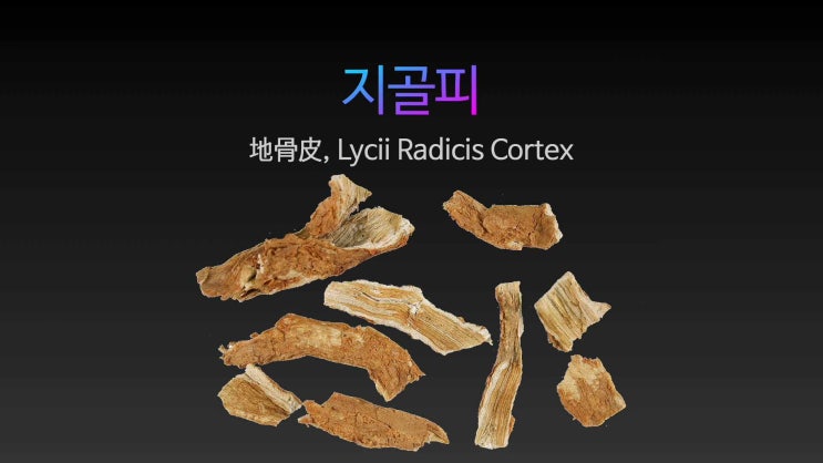  [건강정보] 지골피 추출물이 류마티스 관절염 효과, 사이토카인 과발현