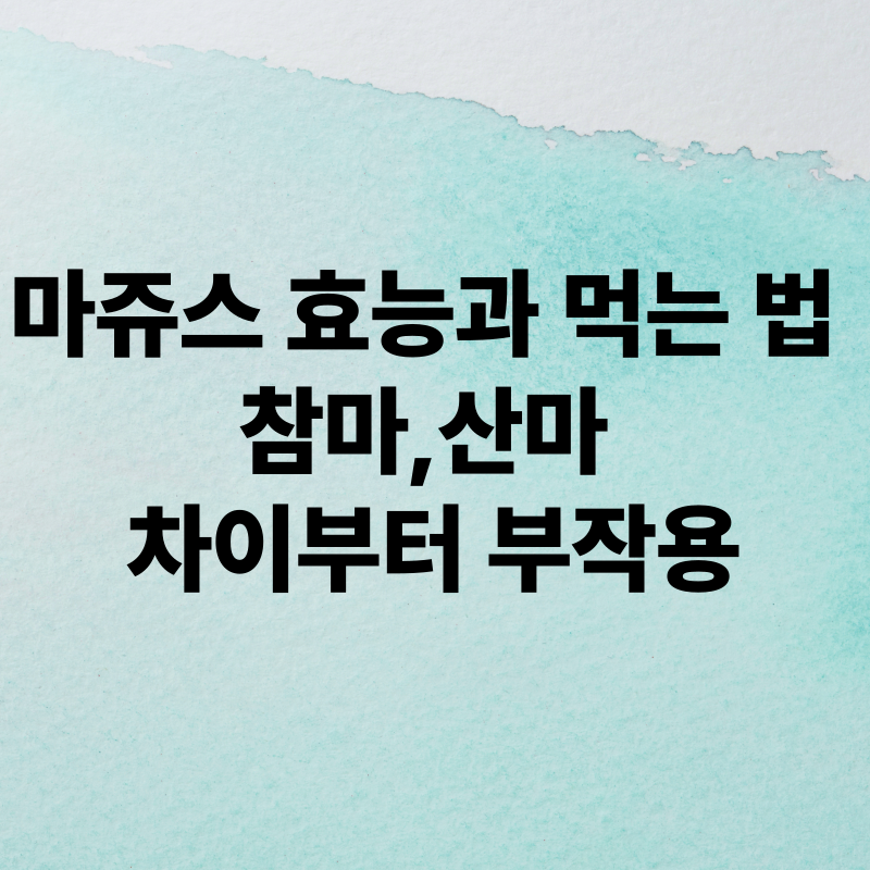 마쥬스 효능과 먹는 법