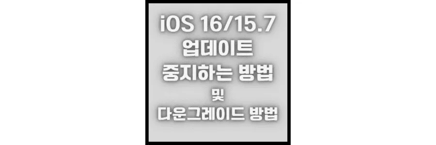 iOS-16/15-7-업데이트를-중지하는-2-가지-방법