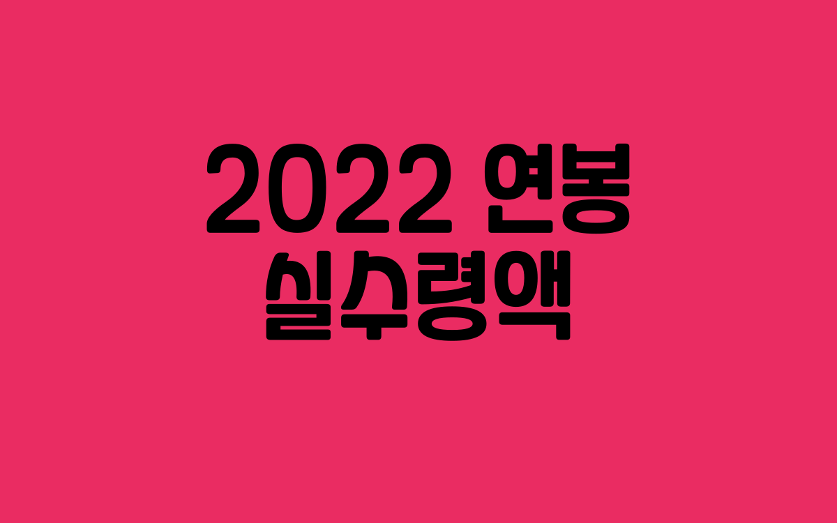  2022 연봉실수령액 알아보는 법