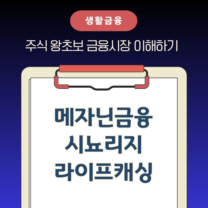 금융시장 이해하기 메자닌금융 시뇨리지 라이프캐싱