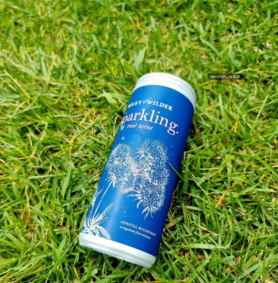 골프에 반하다 세이지우드홍천cc 골프에 반하다촬영지 15