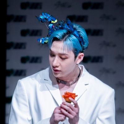 빛날 찬🌟 bXqyjs