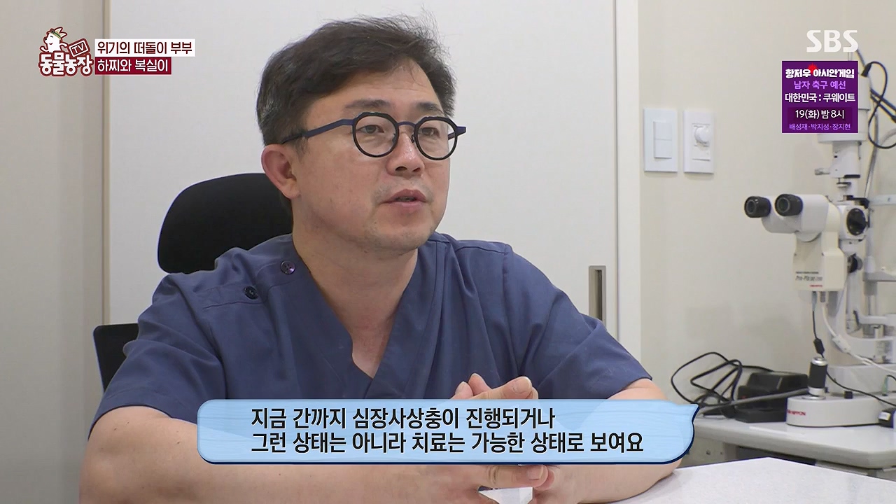 TV 동물농장.E1138.230918p-NEXT.mp4_20230917_174230.919.jpg