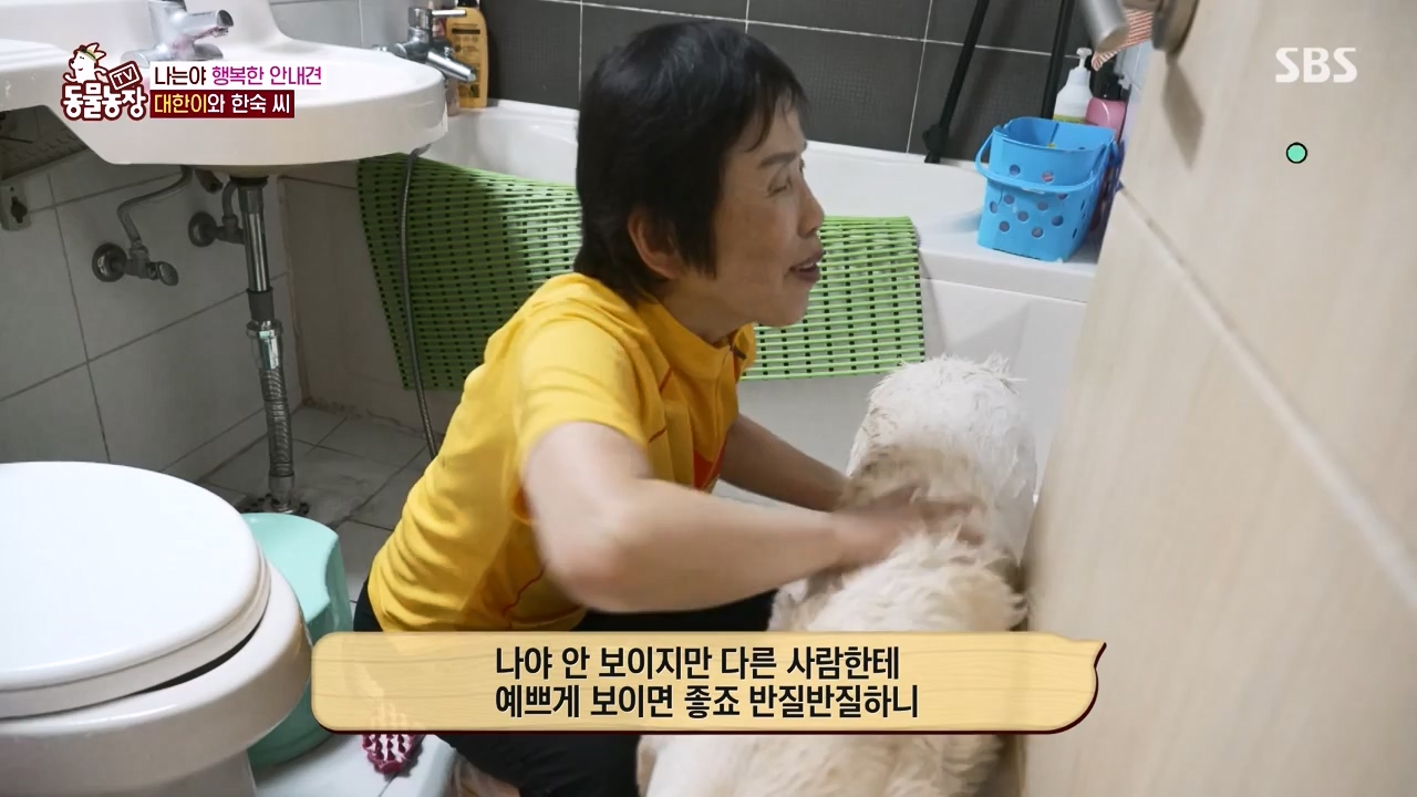 TV 동물농장.E1122.230529p-NEXT.mp4_20230528_170257.501.jpg