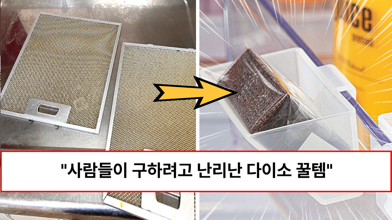 “쓰기전으로 절대 못 돌아갑니다” 다이소 고인물들만 안다는 삶의 질이 향상되는 다이소 숨은 꿀템