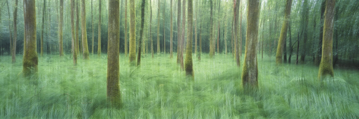 img.jpg