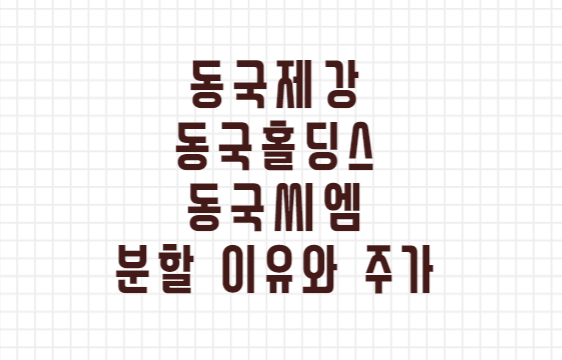  동국제강 분할 이유 동국홀딩스, 동국씨엠 기업구조 알아보기