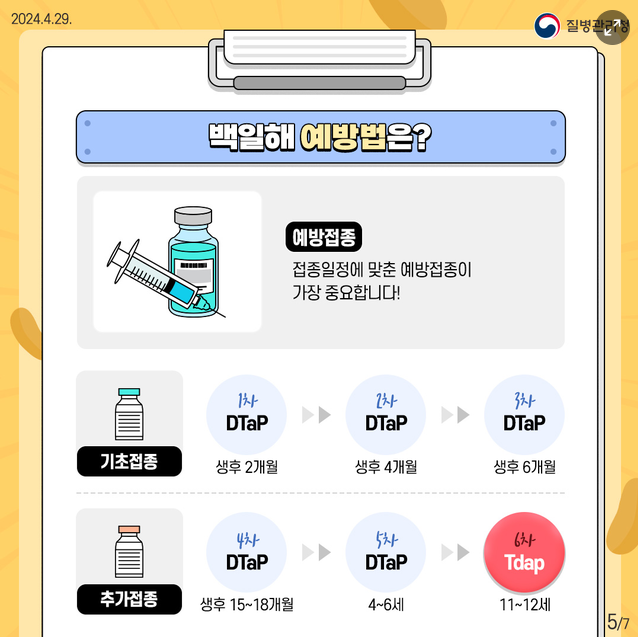 백일해 예방접종 가격 접종내역 확인