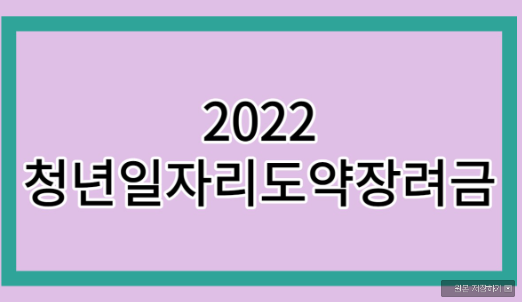  청년일자리도약장려금 사업 개요
