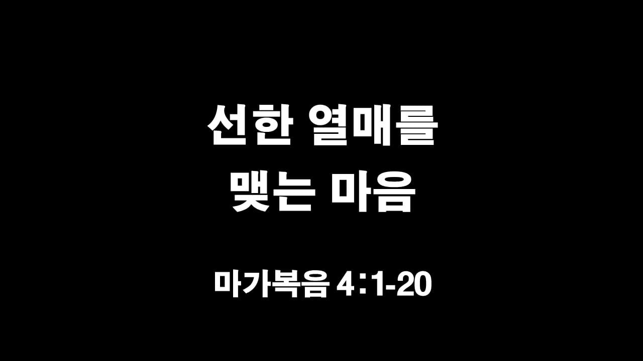 마가복음 4장 1절-20절&#44; 선한 열매를 맺는 마음 - 생명의 삶 큐티 새벽설교