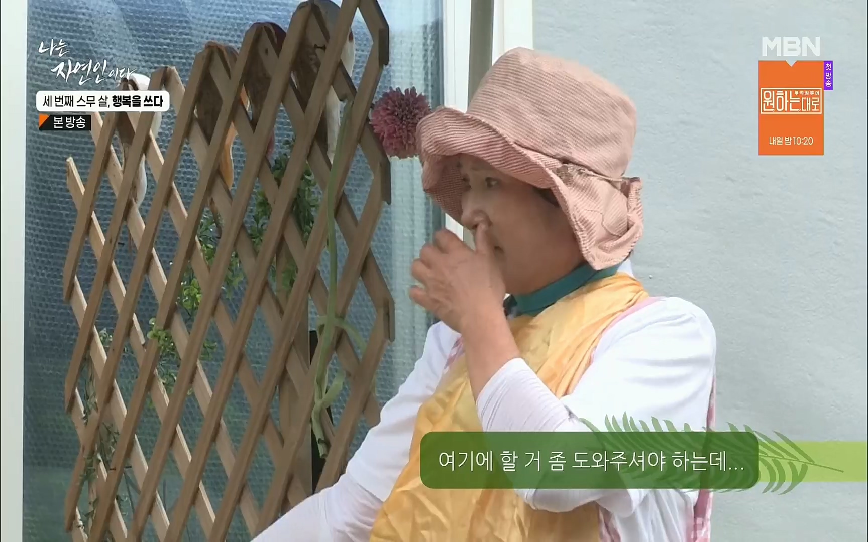 나는 자연인이다.E516.220824p.H264-F1RST.mp4_20220825_164148.503.jpg