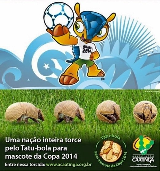 2014-브라질-월드컵-마스코트-풀레코-세띠-아로마딜로